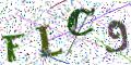 图形验证