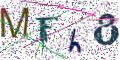 图形验证