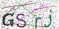 图形验证