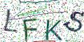 图形验证