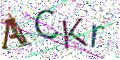 图形验证