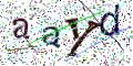 图形验证