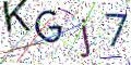 图形验证