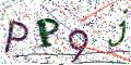 图形验证