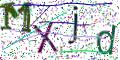 图形验证