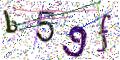 图形验证