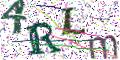 图形验证