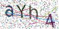 图形验证