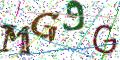 图形验证