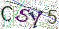 图形验证