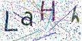图形验证