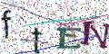 图形验证