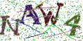 图形验证