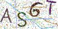 图形验证