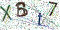 图形验证