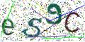 图形验证