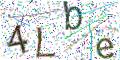图形验证