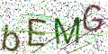 图形验证