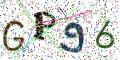 图形验证