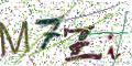 图形验证