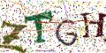 图形验证