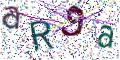 图形验证