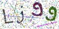 图形验证