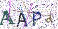 图形验证