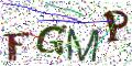 图形验证