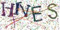 图形验证