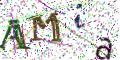 图形验证