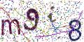 图形验证