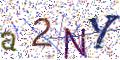 图形验证