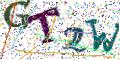图形验证