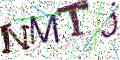 图形验证