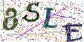 图形验证