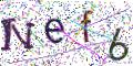 图形验证