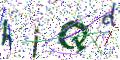 图形验证