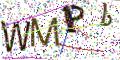 图形验证