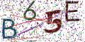 图形验证