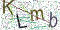 图形验证