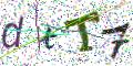 图形验证