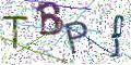 图形验证