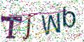 图形验证