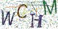 图形验证