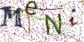 图形验证