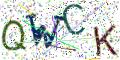 图形验证