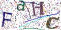 图形验证