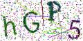 图形验证