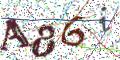 图形验证